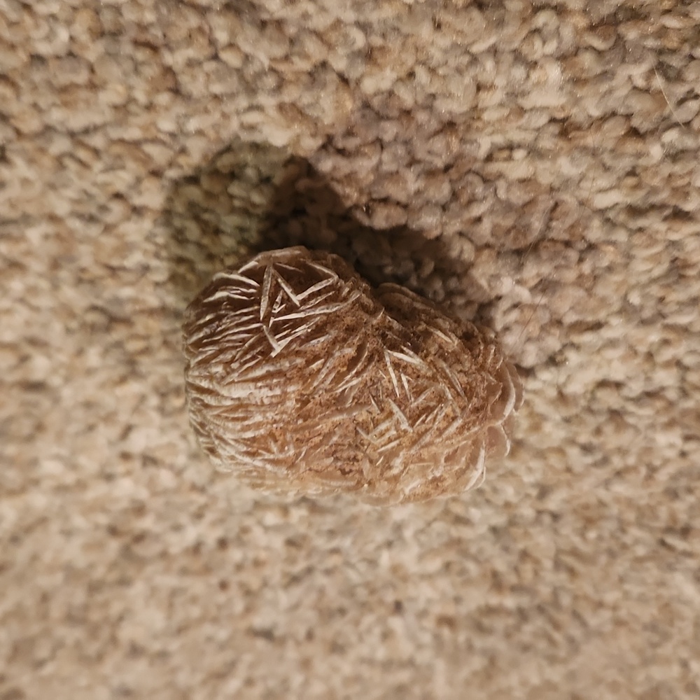 Desert Rose